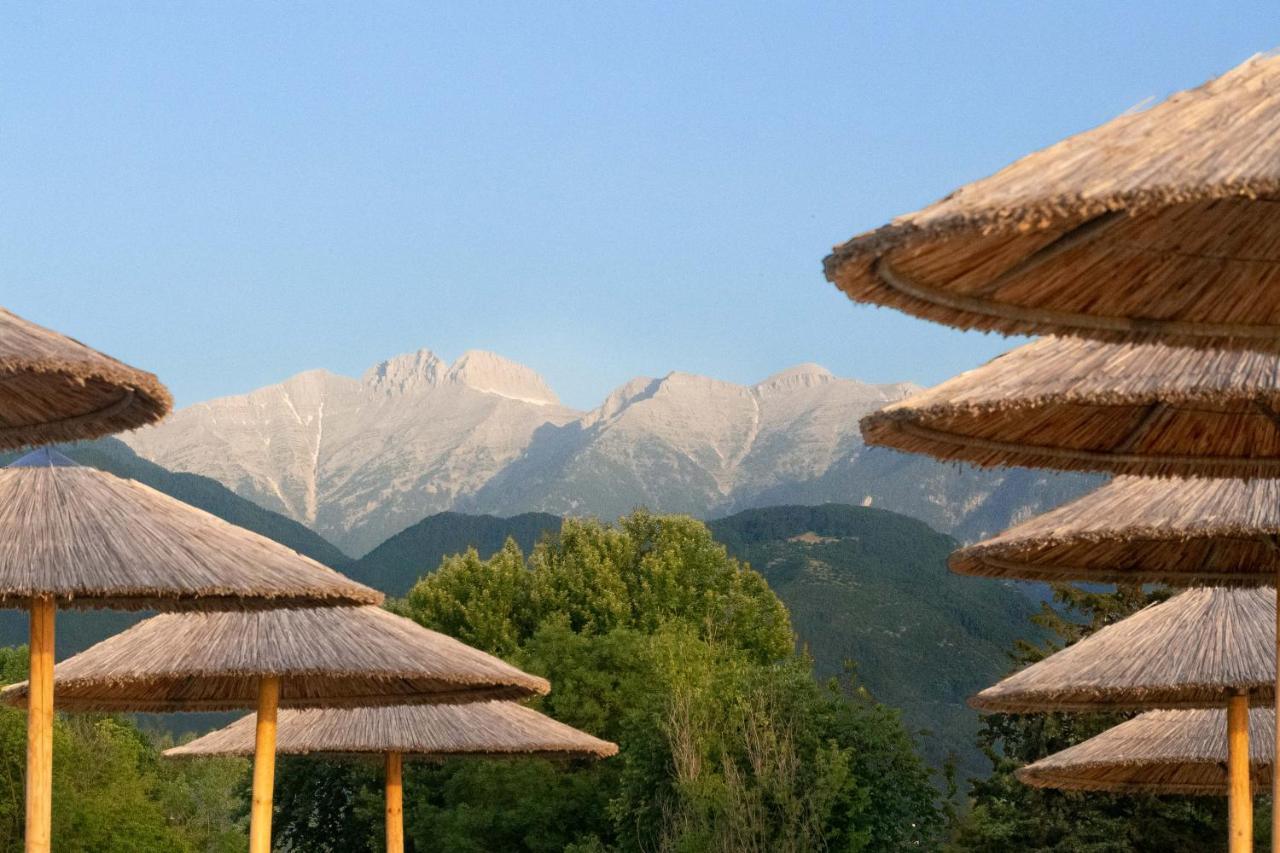 Olympios Zeus Hotell Plaka Litochorou Exteriör bild